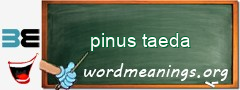 WordMeaning blackboard for pinus taeda